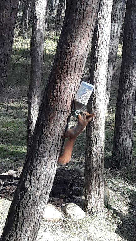Vila Krantas Παλάγκα Εξωτερικό φωτογραφία